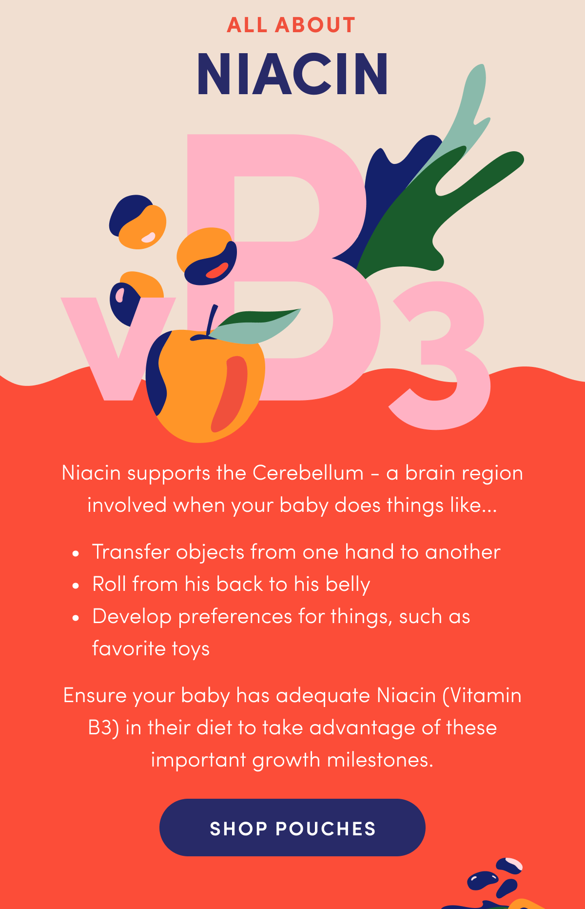All About Niacin (Vitamin B3) | Niacin supports the Cerebellum - a brain region involved when your baby does things like.... Transfer objects from one hand to another; Roll from his back to his belly; Develop preferences for things, such as favorite toys. | Ensure your baby has adequate Niacin (Vitamin B3) in their diet to take advantage of these important growth milestones. | SHOP POUCHES
