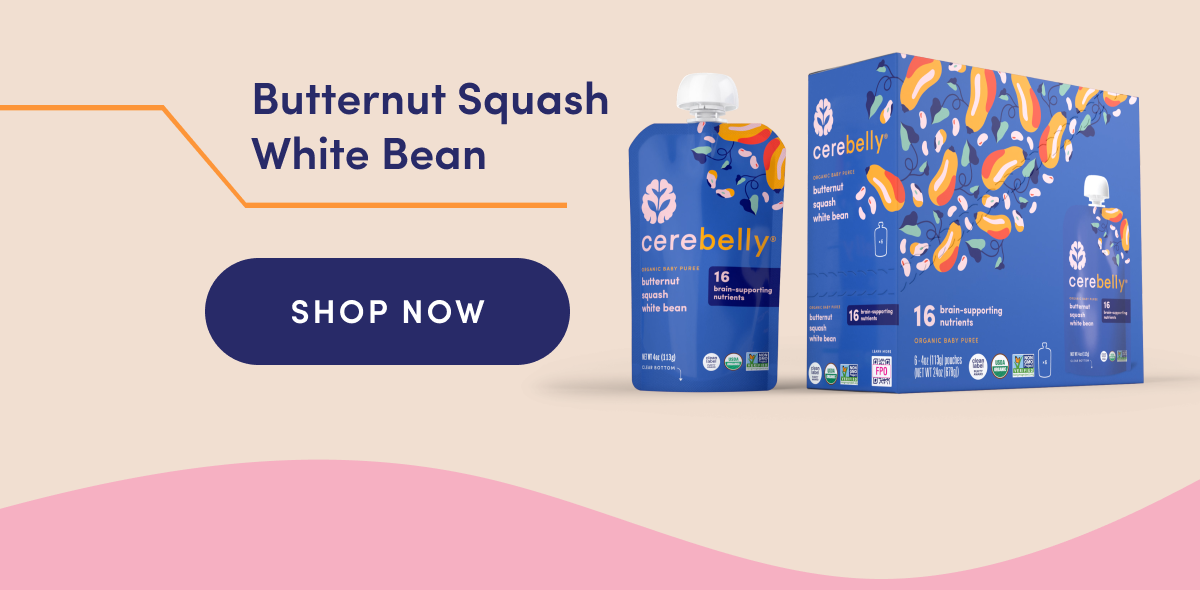Butternut Squash White Bean | SHOP  NOW