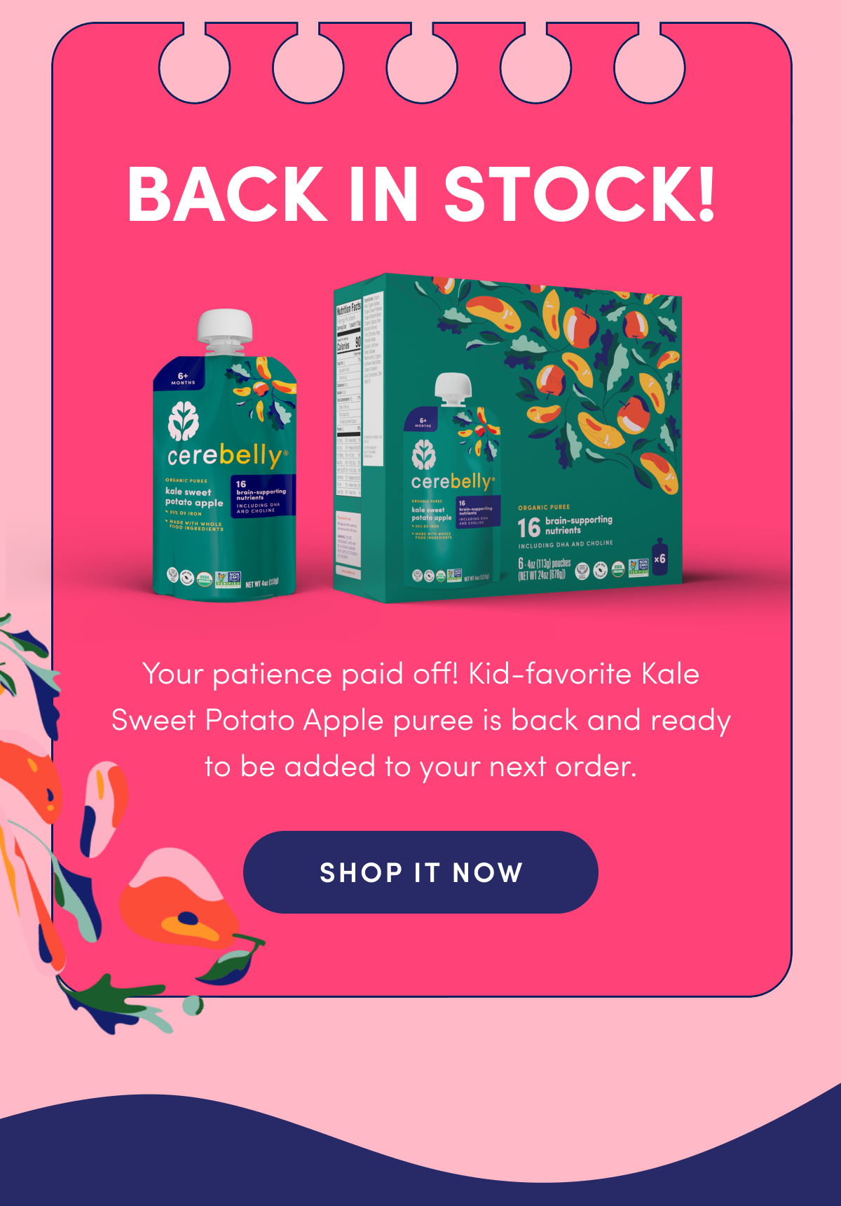 Back In Stock! | Your patience paid off! Kid-favorite Kale Sweet Potato Apple puree is back and ready to be added to your next order. | SHOP IT NOW