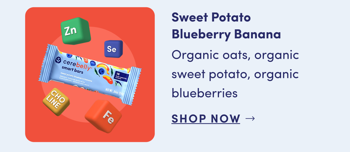 Sweet Potato Blueberry Banana | Organic oats, organic sweet potato, organic blueberries | SHOP NOW
