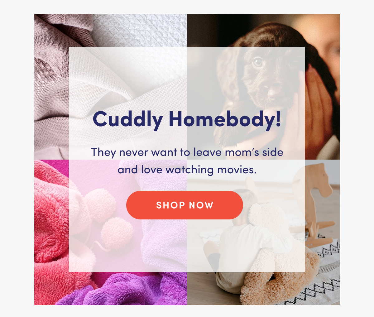 Cuddly Homebody! | They never want to leave mom's side and love watching movies. | SHOP NOW
