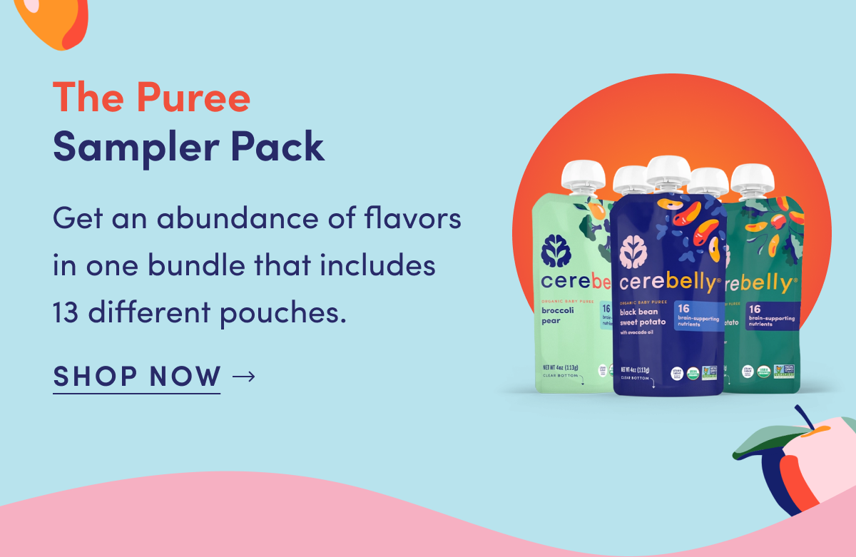 The Puree Sampler Pack | Get an abundance of flavors in one bundle that includes 13 different pouches. | SHOP NOW