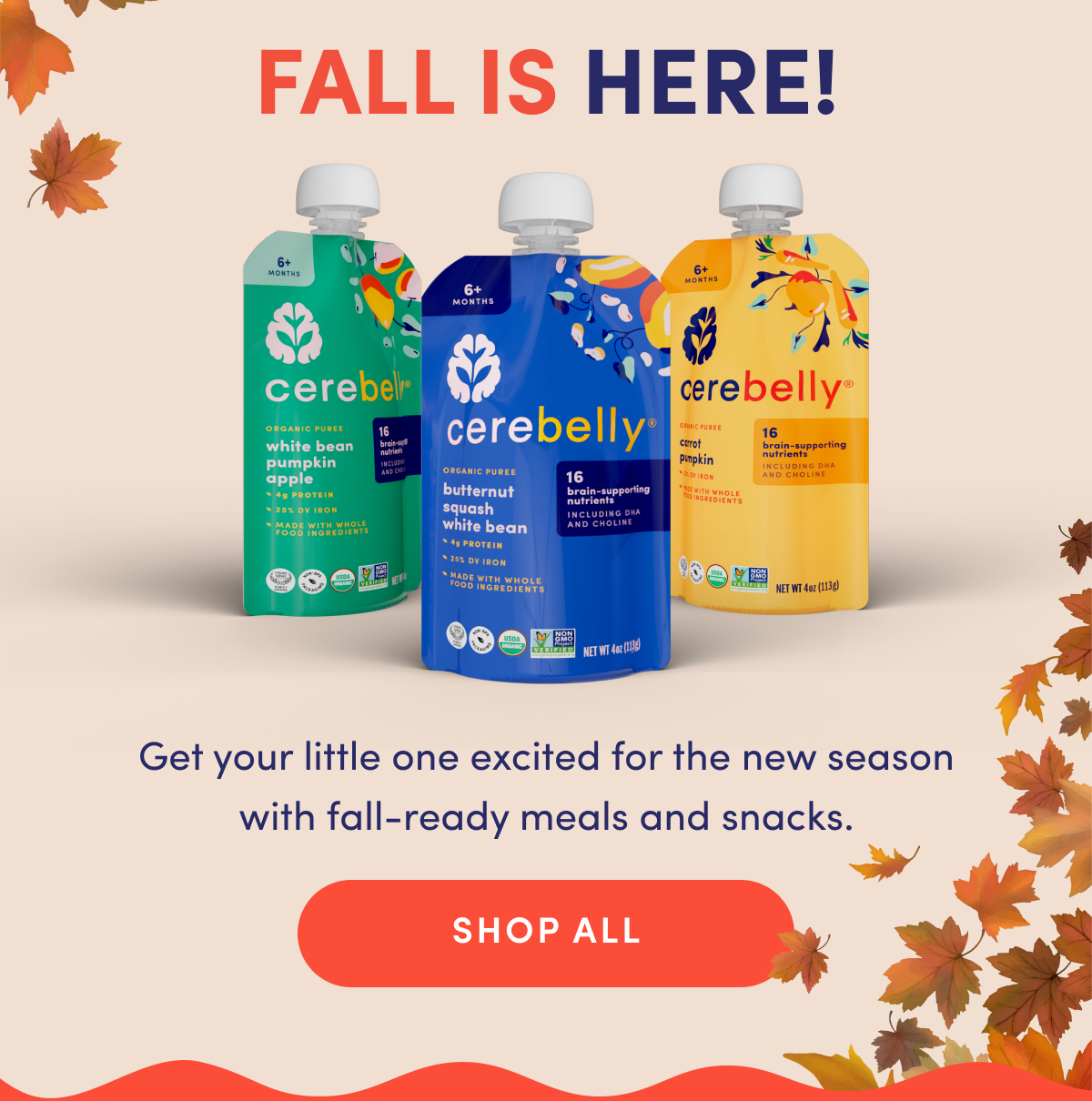 Fall Is Here! | Get your little one excited for the new season with fall-ready meals and snacks. | SHOP ALL