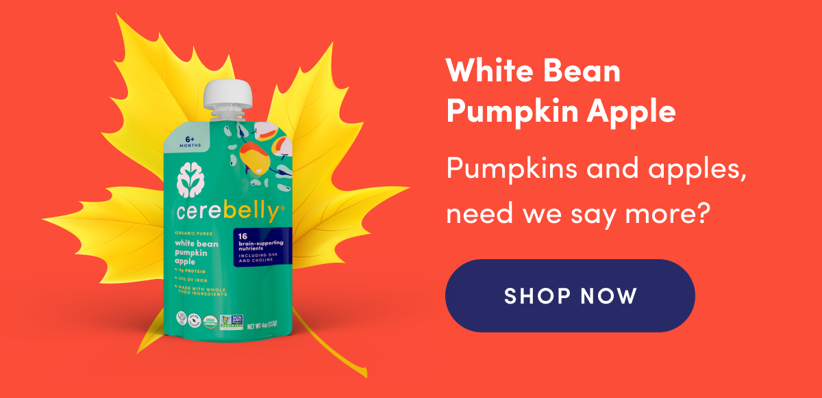 White Bean Pumpkin Apple | Pumpkins and apples, need we say more? | SHOP NOW