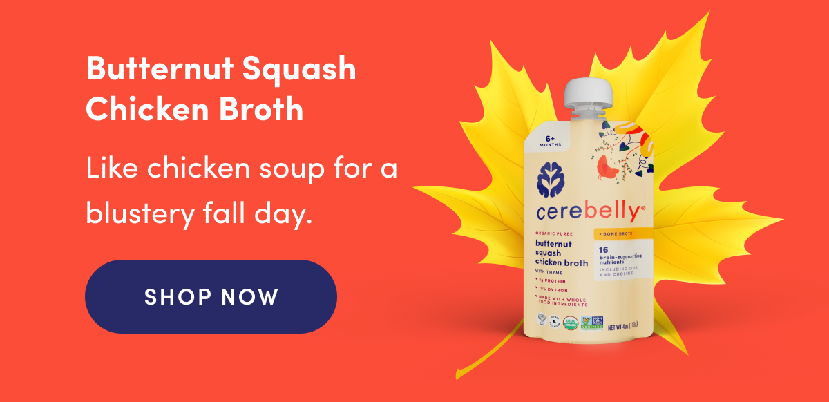 Butternut Squash Chicken Broth | Like chicken soup for a blustery fall day. | SHOP NOW