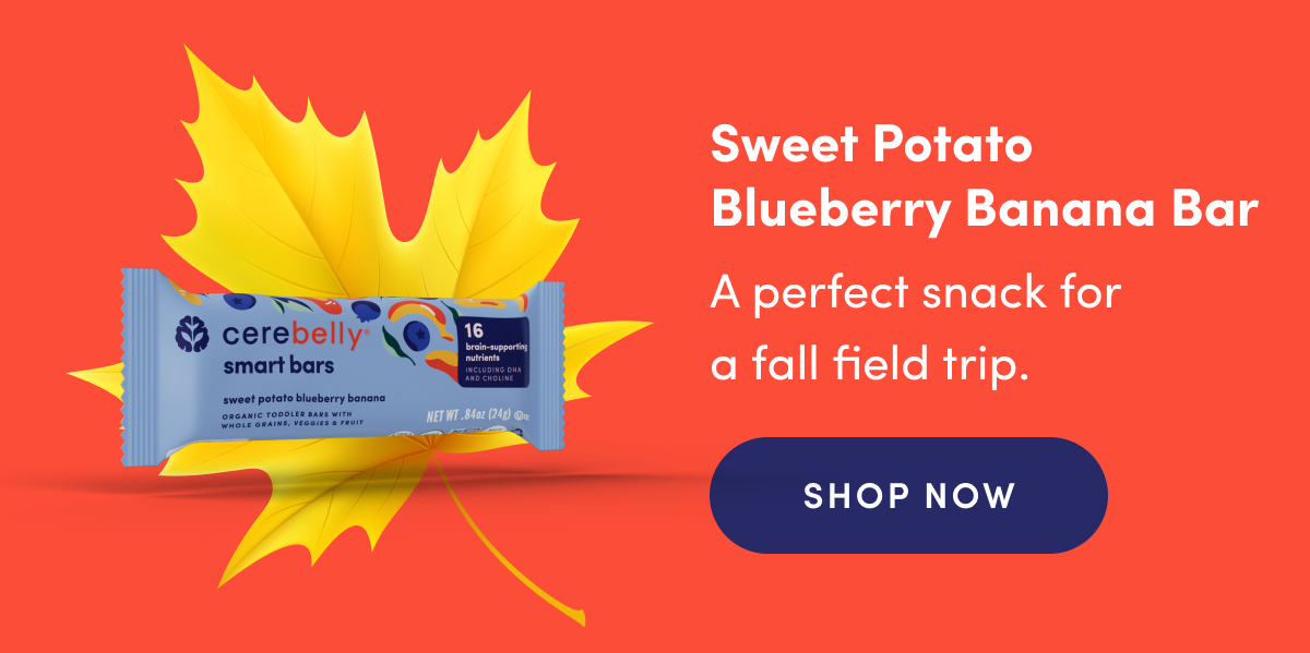 Sweet Potato Blueberry Banana Bar | A perfect snack for a fall field trip. | SHOP NOW