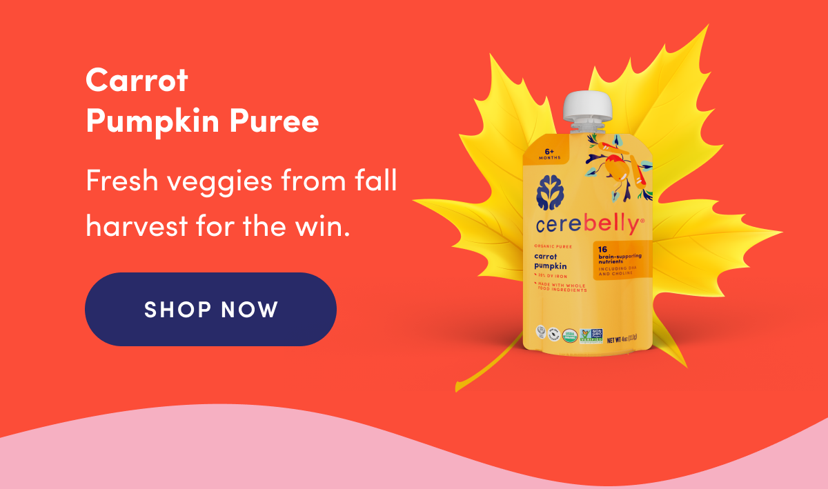 Carrot Pumpkin Puree | Fresh veggies from fall harvest for the win. | SHOP NOW