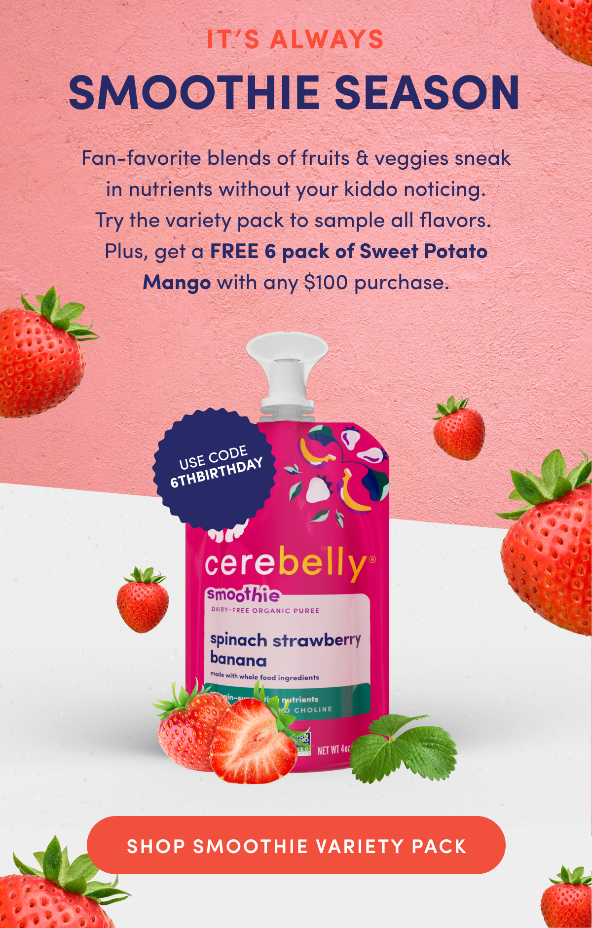 It's Always Smoothie Season | Fan-favorite blends of fruits & veggies sneak in nutrients without your kiddo noticing. Try the variety pack to sample all flavors. Plus, get a FREE 6 pack of Sweet Potato Mango with any $100 purchase. | Use code: 6THBIRTHDAY | SHOP SMOOTHIE VARIETY PACK