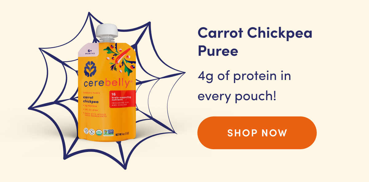 Carrot Chickpea Puree | 4g of protein in every pouch! | SHOP NOW