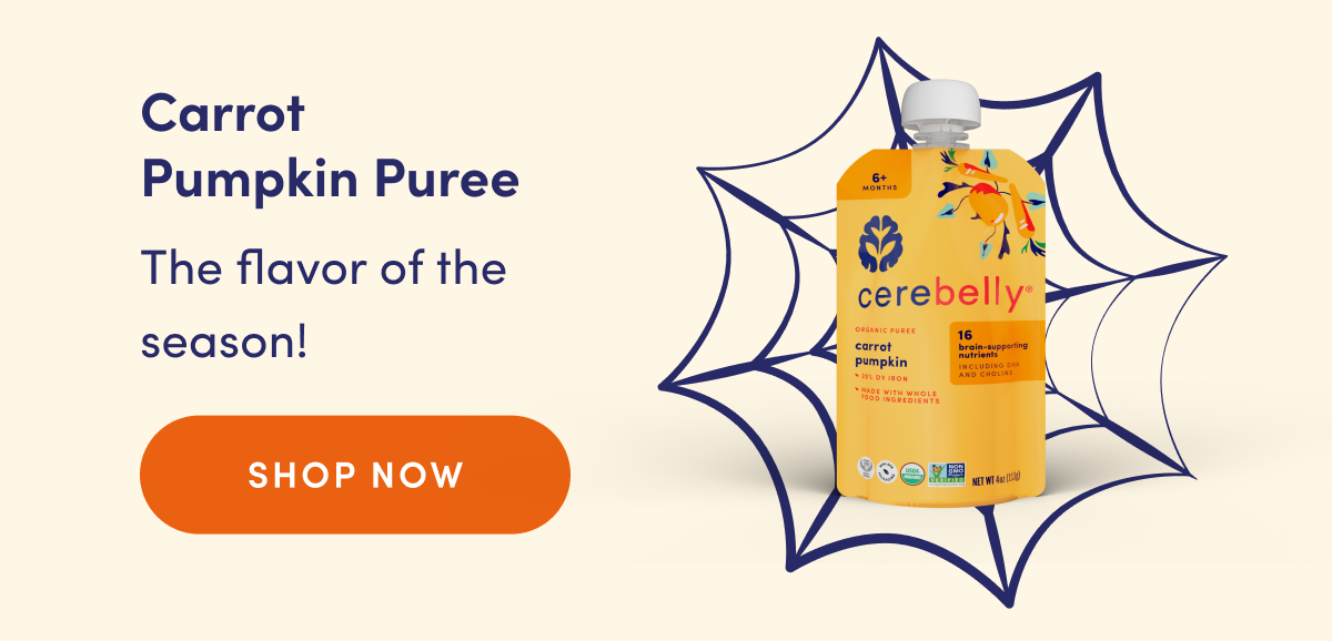 Carrot Pumpkin Puree | The flavor of the season! | SHOP NOW