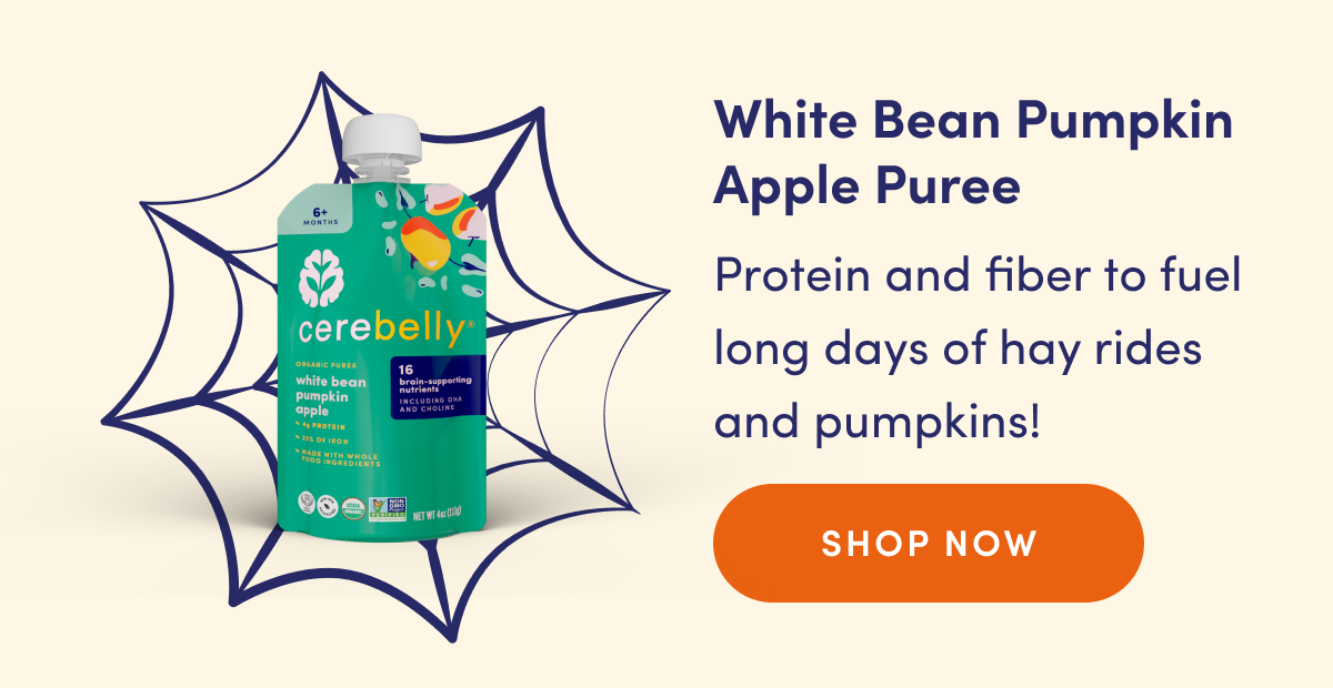White Bean Pumpkin Apple Puree | Protein and fiber to fuel long days of hay rides and pumpkins! | SHOP NOW