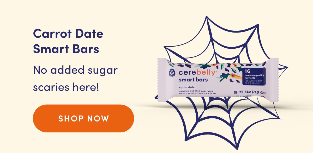Carrot Date Smart Bars | No added sugar scaries here! | SHOP NOW