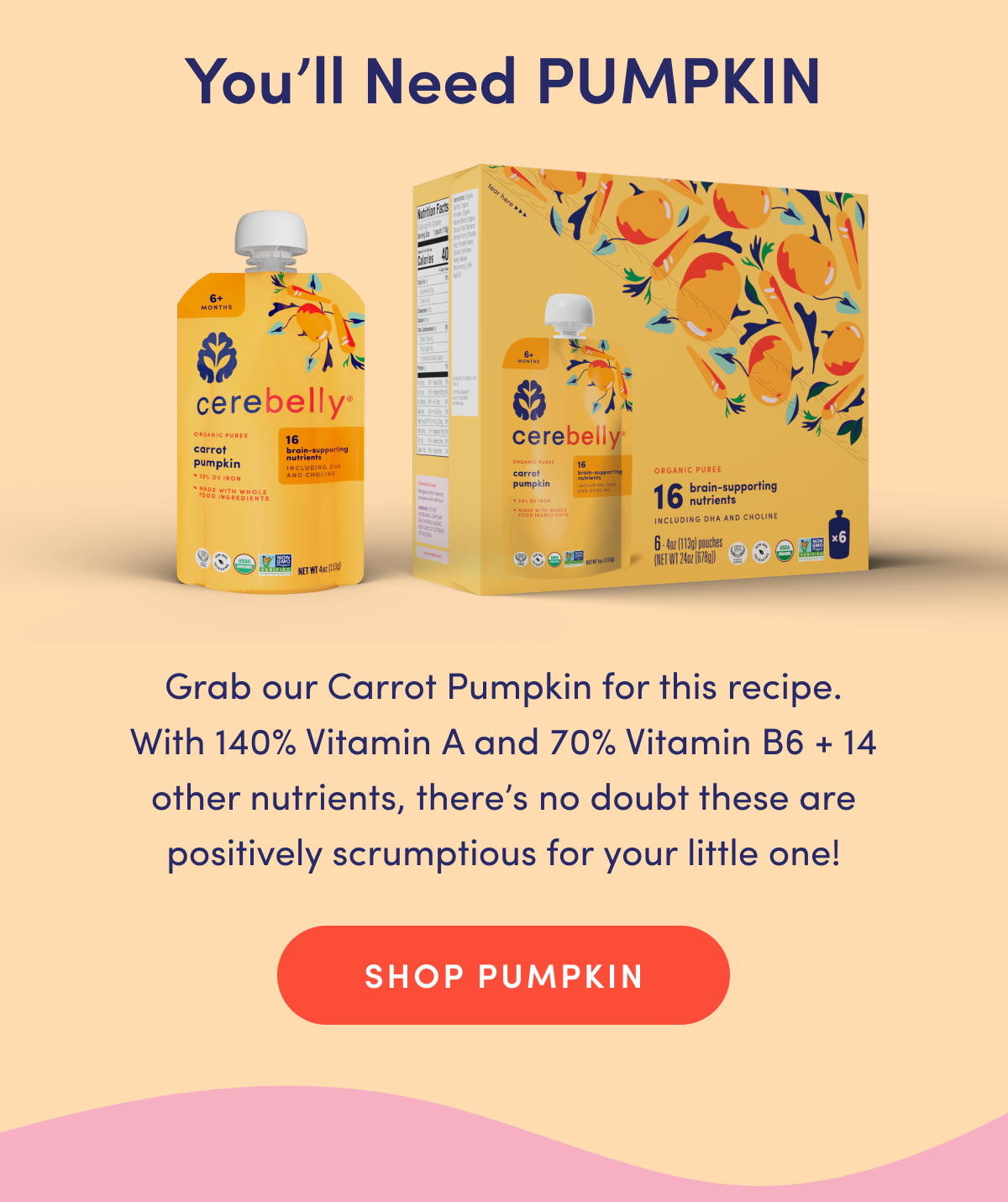 You'll Need PUMPKIN | Grab our Carrot Pumpkin for this recipe. With 140% Vitamin A and 70% Vitamin B6 + 14 other nutrients, there's no doubt these are positively scrumptious for your little one! | SHOP PUMPKIN