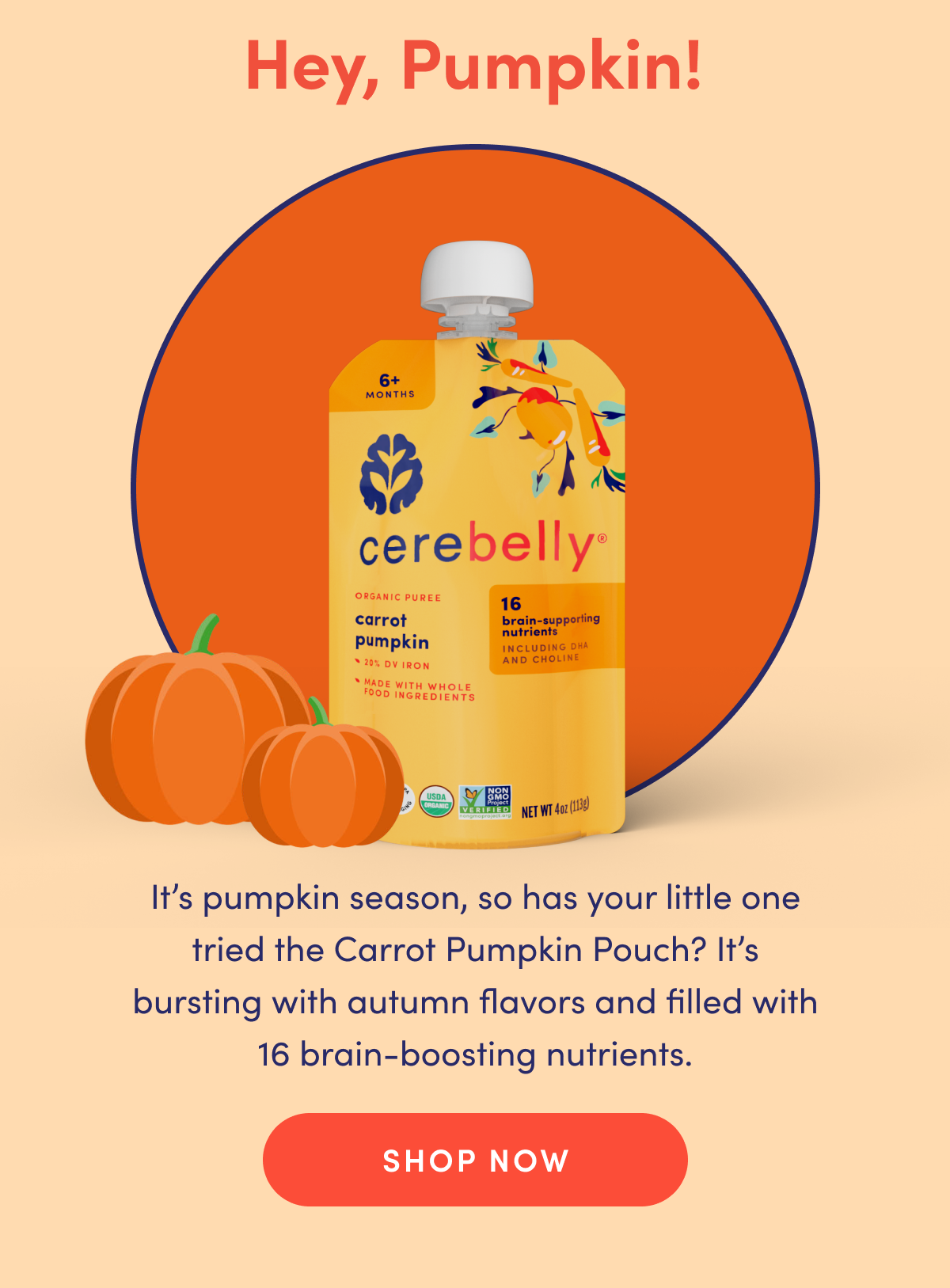 Hey, Pumpkin! | It's pumpkin season, so has your little one tried the Carrot Pumpkin Pouch? It's bursting with autumn flavors and filled with 16 brain-boosting nutrients. | SHOP NOW