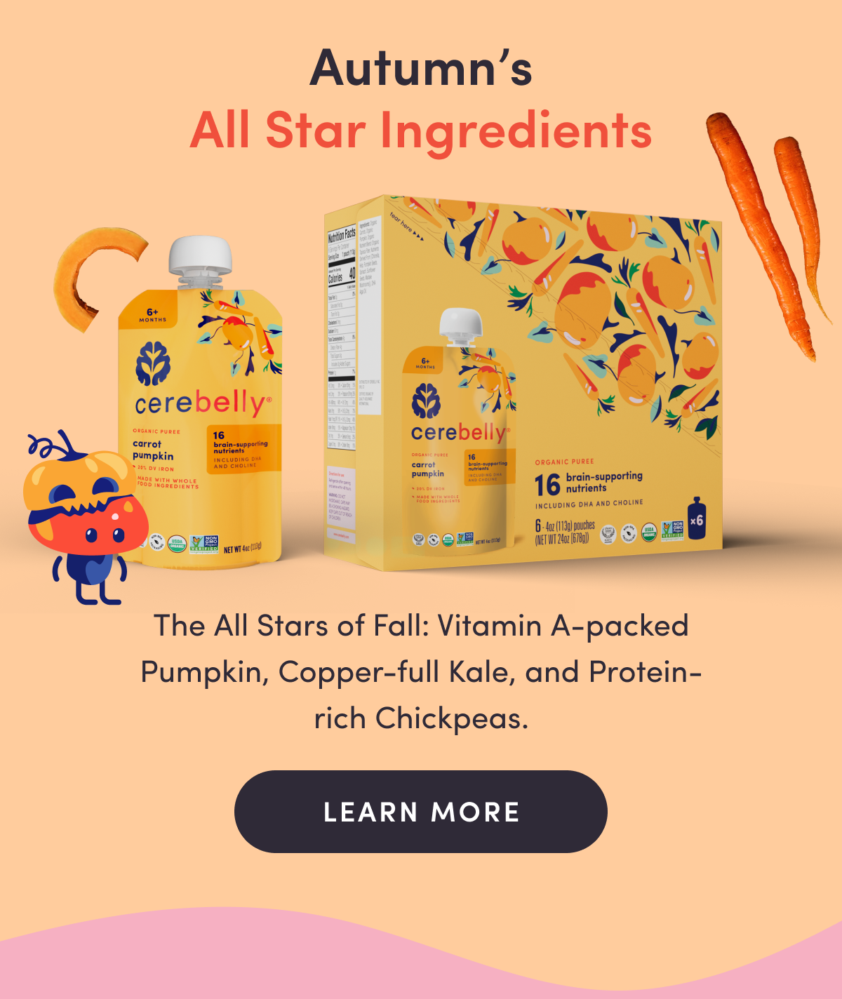 Autumn's All Star Ingredients | The All Stars of Fall: Vitamin A-packed Pumpkin, Copper-full Kale, and Protein-rich Chickpeas. | LEARN MORE