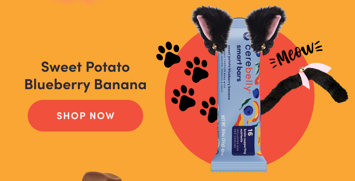 Sweet Potato Blueberry Banana