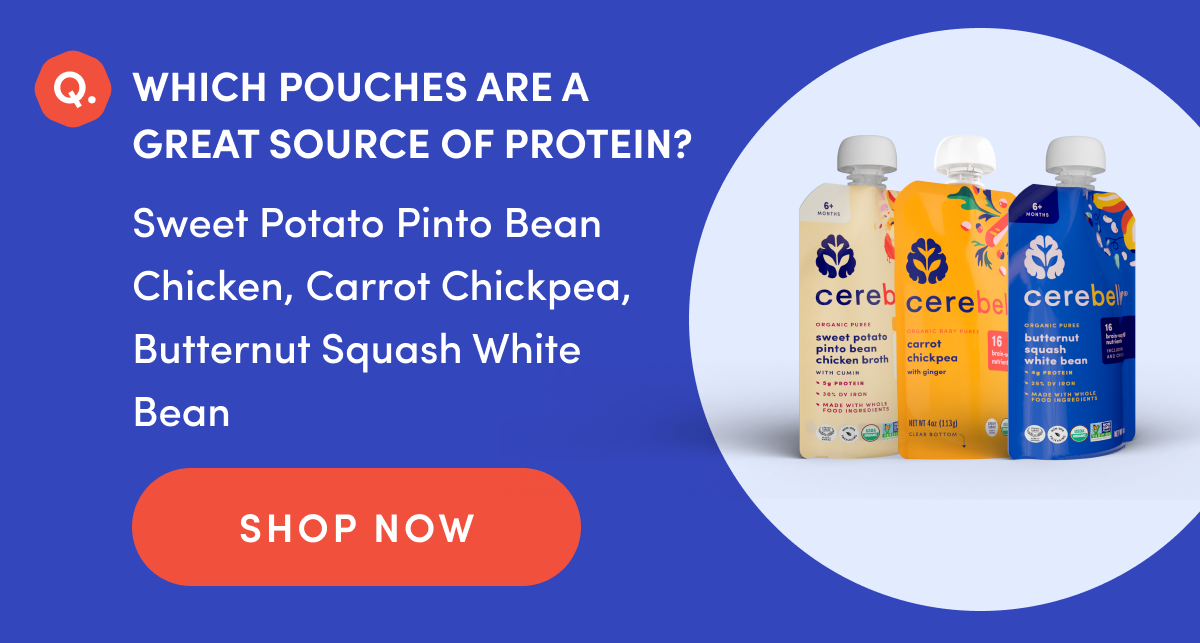 Which pouches are a great source of protein? | Sweet Potato Pinto Bean Chicken, Carrot Chickpea, Butternut Squash White Bean | SHOP NOW