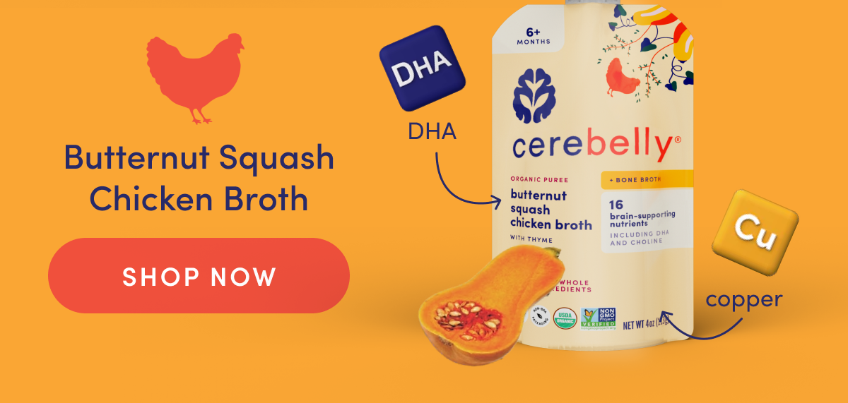 Butternut Squash Chicken Broth | SHOP NOW