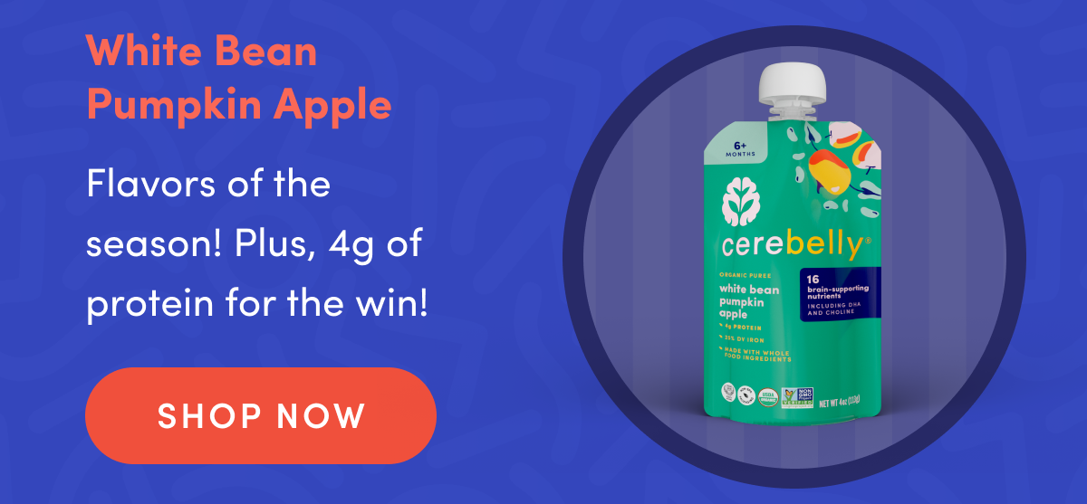 White Bean Pumpkin Apple | Flavors of the season! Plus, 4g of protein for the win! | SHOP NOW