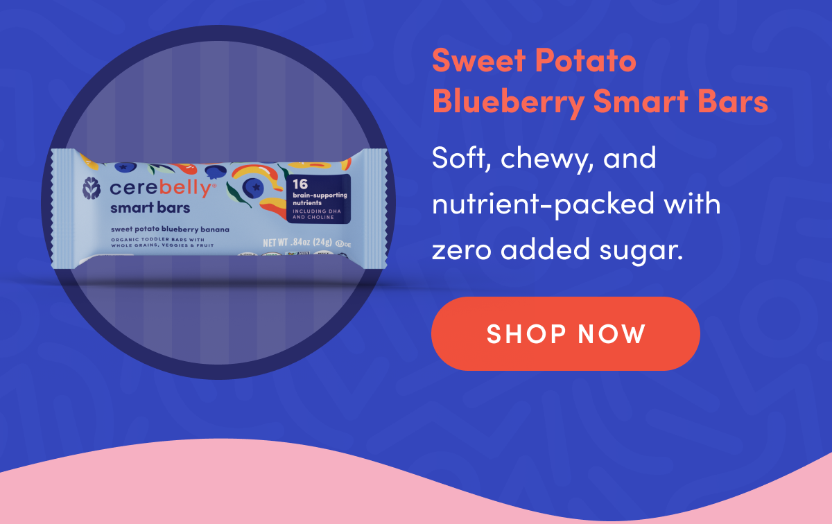 Sweet Potato Blueberry Smart Bars | Soft, chewy, and nutrient-packed with zero added sugar. | SHOP NOW