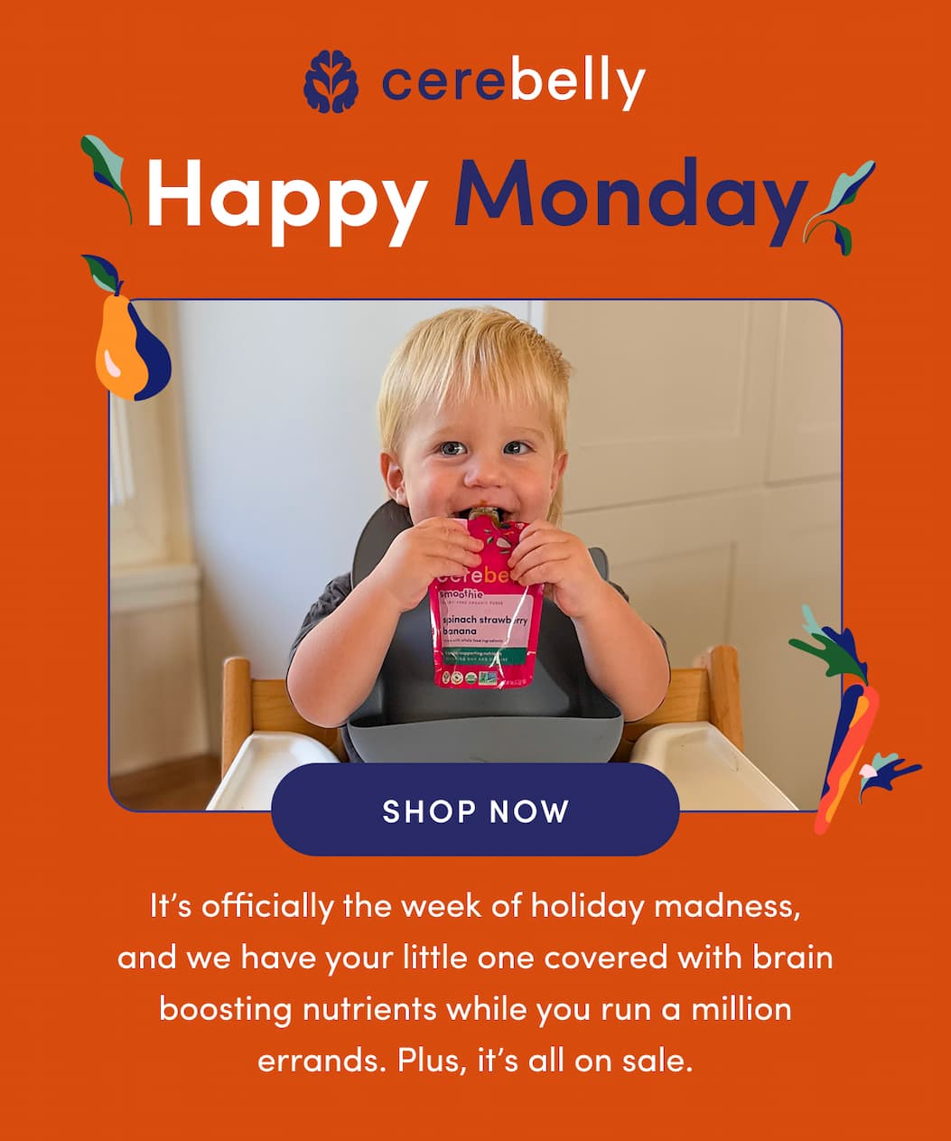 HAPPY MONDAY | SHOP NOW | It’s officially the week of holiday madness, and we have your little one covered with brain boosting nutrients while you run a million errands. Plus, it’s all on sale.