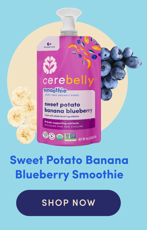 Sweet Potato Banana Blueberry Smoothie