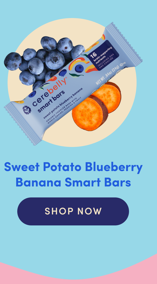Sweet Potato Blueberry Banana Smart Bars