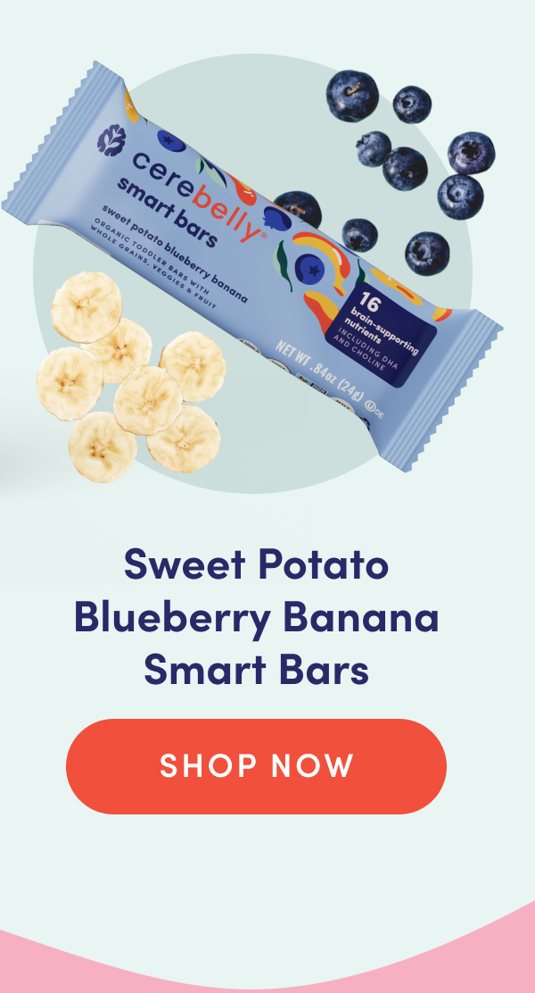 Sweet Potato Blueberry Banana Smart Bars | SHOP NOW