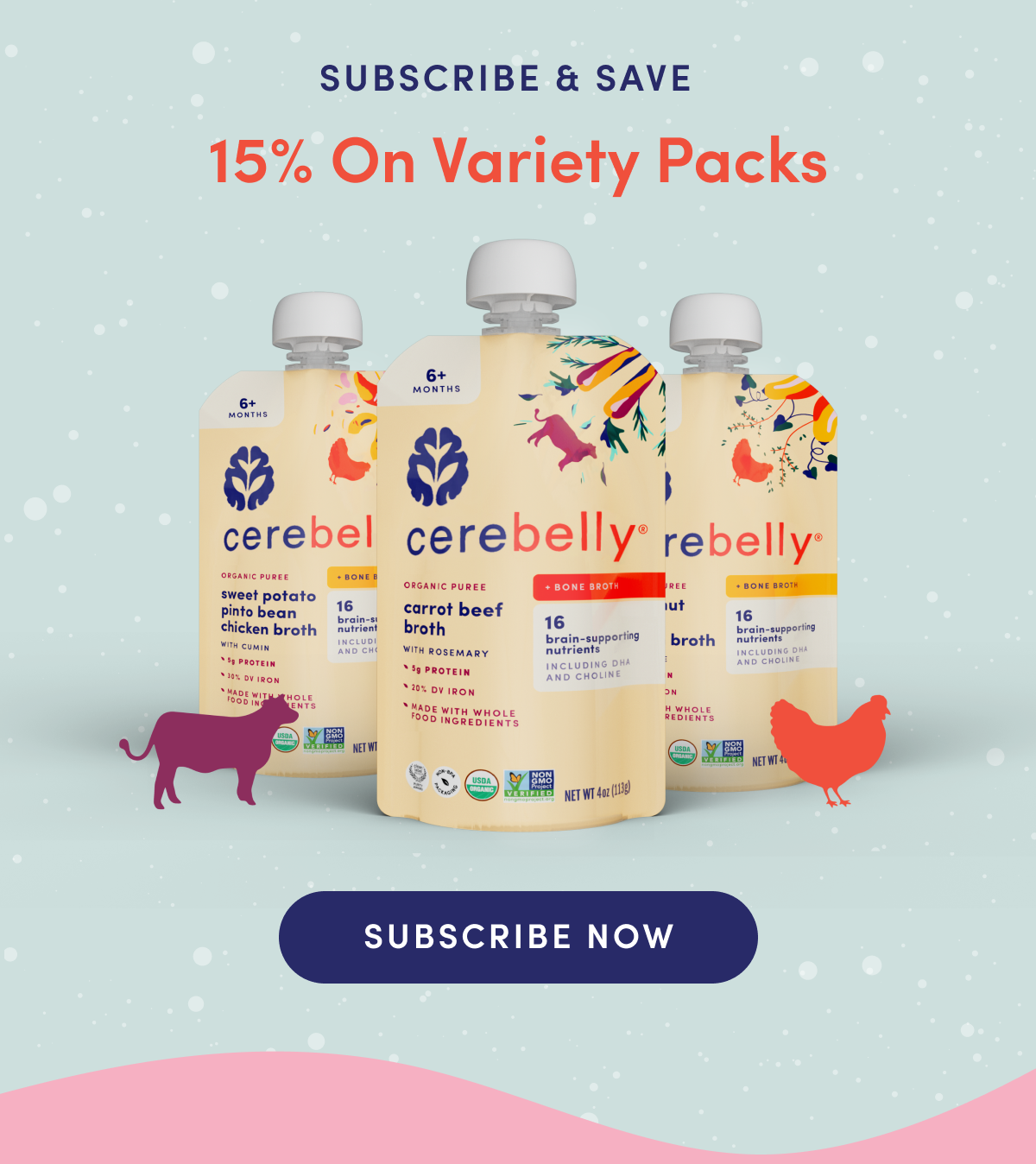 Subscribe & Save 15% On Variety Packs | SUBSCRIBE NOW
