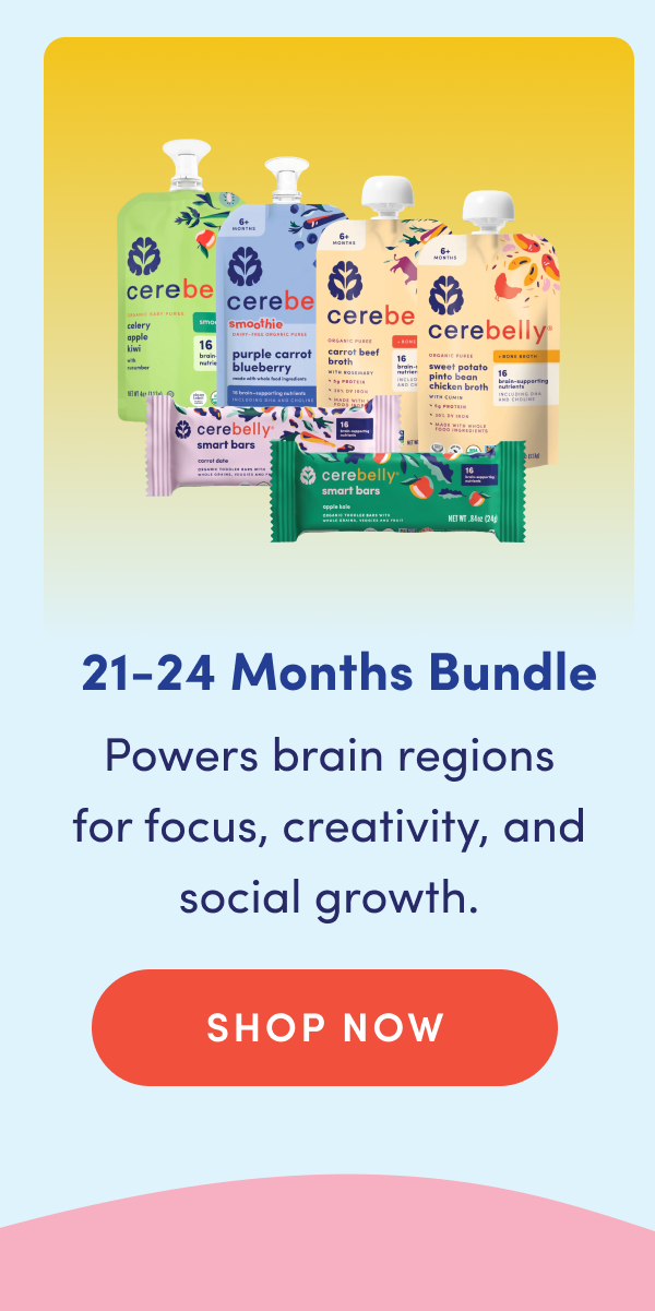 21-24 Months Bundle | Powers brain regions for focus, creativity, and social growth. | SHOP NOW