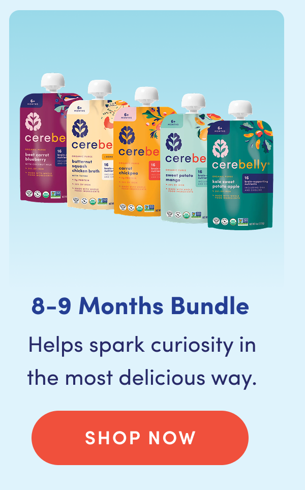 8-9 Months Bundle | Helps spark curiosity in the most delicious way. | SHOP NOW