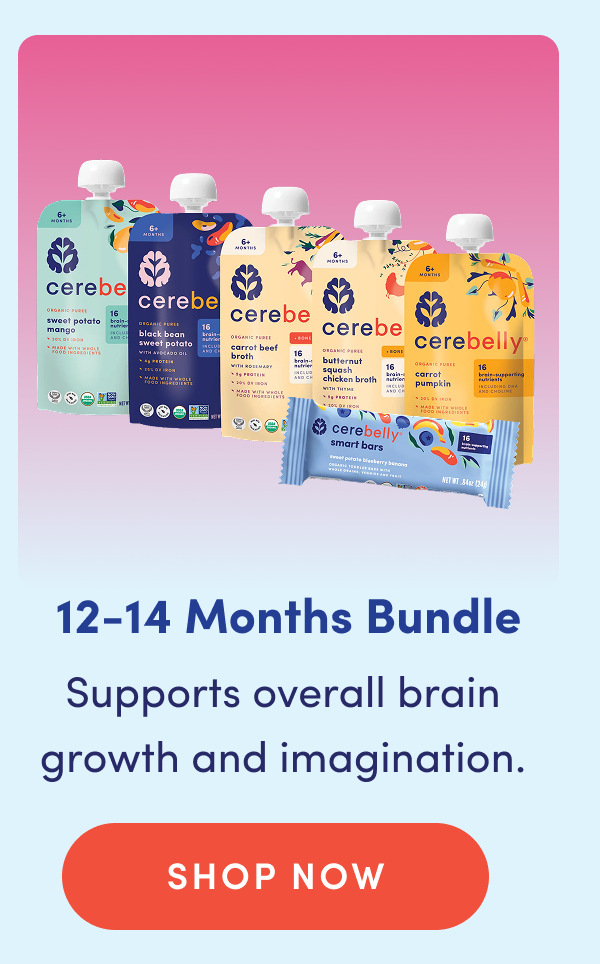 12-14 Months Bundle | Supports overall brain growth and imagination. | SHOP NOW