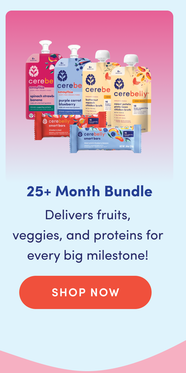 25+ Month Bundle | Delivers fruits, veggies, and proteins for every big milestone! | SHOP NOW
