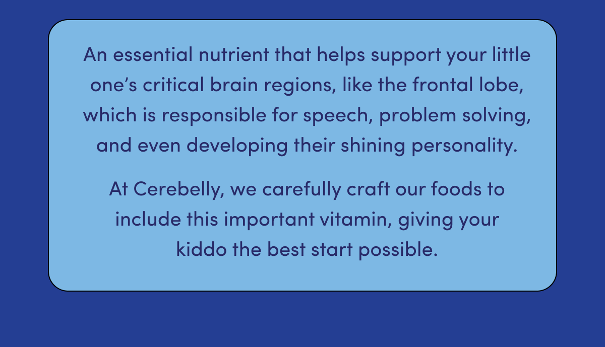An essential nutrient that helps support your little one's critical brain regions, like the frontal lobe, which is responsible for speech, problem solving, and even developing their shining personality. At Cerebelly, we carefully craft our foods to include this important vitamin, giving your kiddo the best start possible.