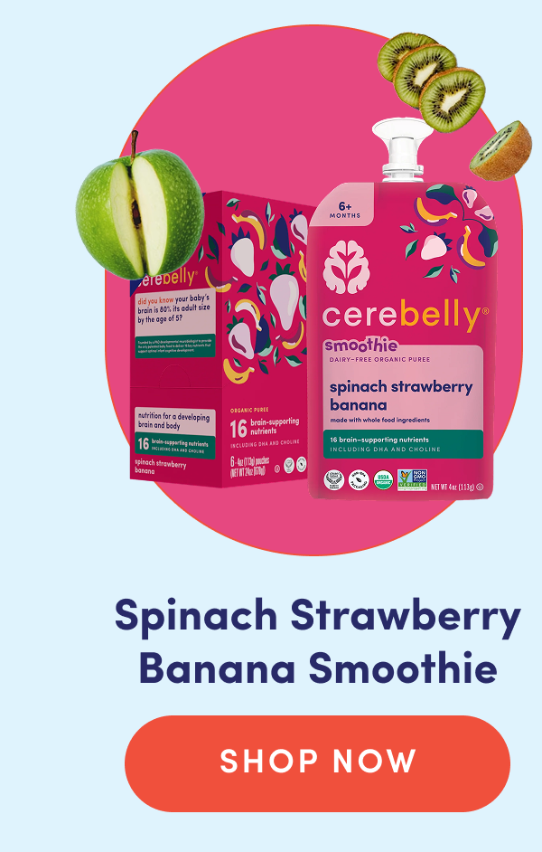 Spinach Strawberry Banana Smoothie | SHOP NOW
