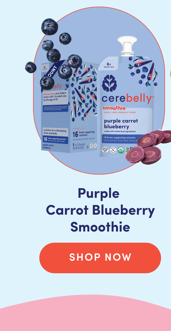 Purple Carrot Blueberry Smoothie | SHOP NOW