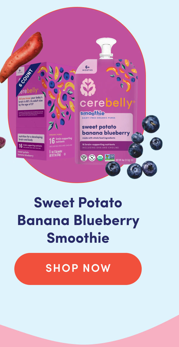 Sweet Potato Banana Blueberry Smoothie | SHOP NOW