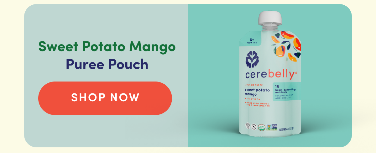 Sweet Potato Mango Puree Pouch | SHOP NOW