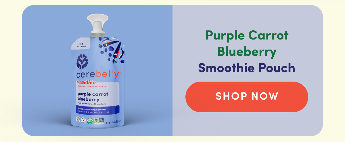 Purple Carrot Blueberry Smoothie Pouch | SHOP NOW