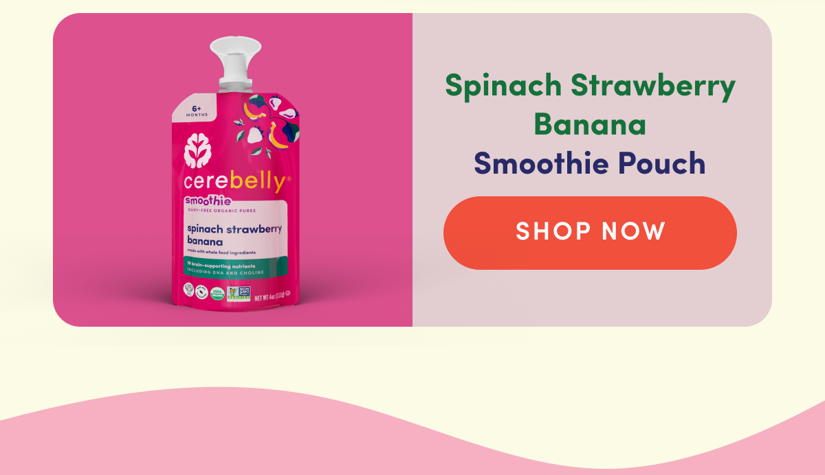 Spinach Strawberry Banana Smoothie Pouch | SHOP NOW