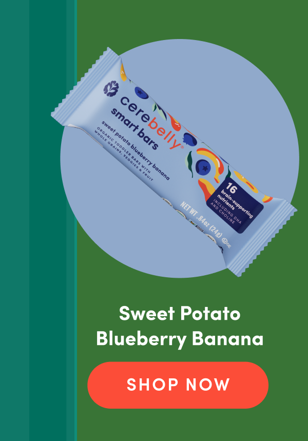 Sweet Potato Blueberry Banana | SHOP NOW