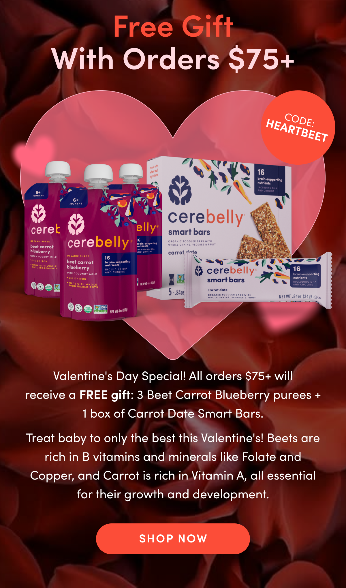 Free Gift With Orders $75+ | Code: HEARTBEET | Valentine's Day Special! All orders $75+ will receive a FREE gift: 3 Beet Carrot Blueberry purees + 1 box of Carrot Date Smart Bars. Treat baby to only the best this Valentine's! Beets are rich in B vitamins and minerals like Folate and Copper, and Carrot is rich in Vitamin A, all essential for their growth and development. | SHOP NOW