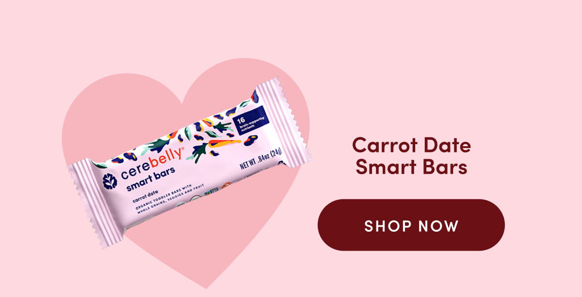 Carrot Date Smart Bars | SHOP NOW