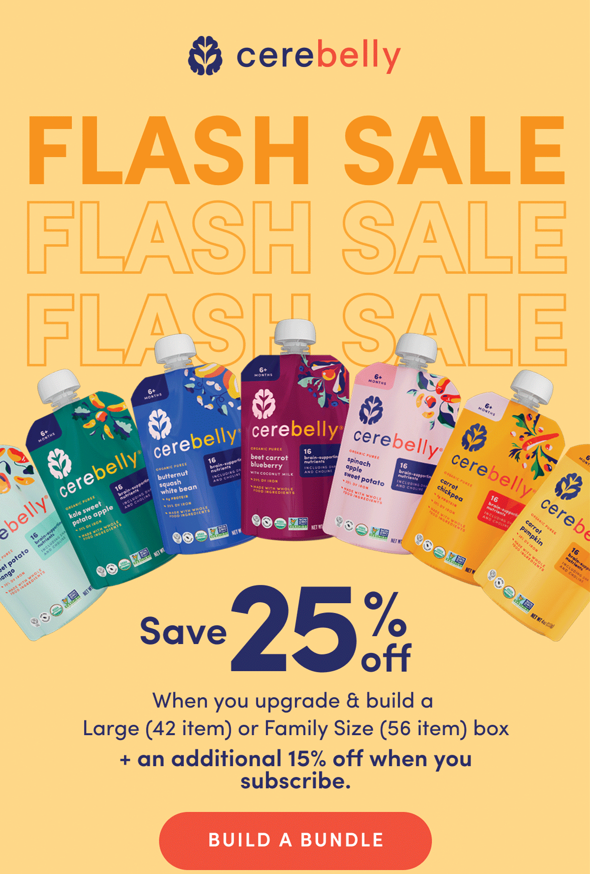 Spring Flash Sale | Save 25% Off