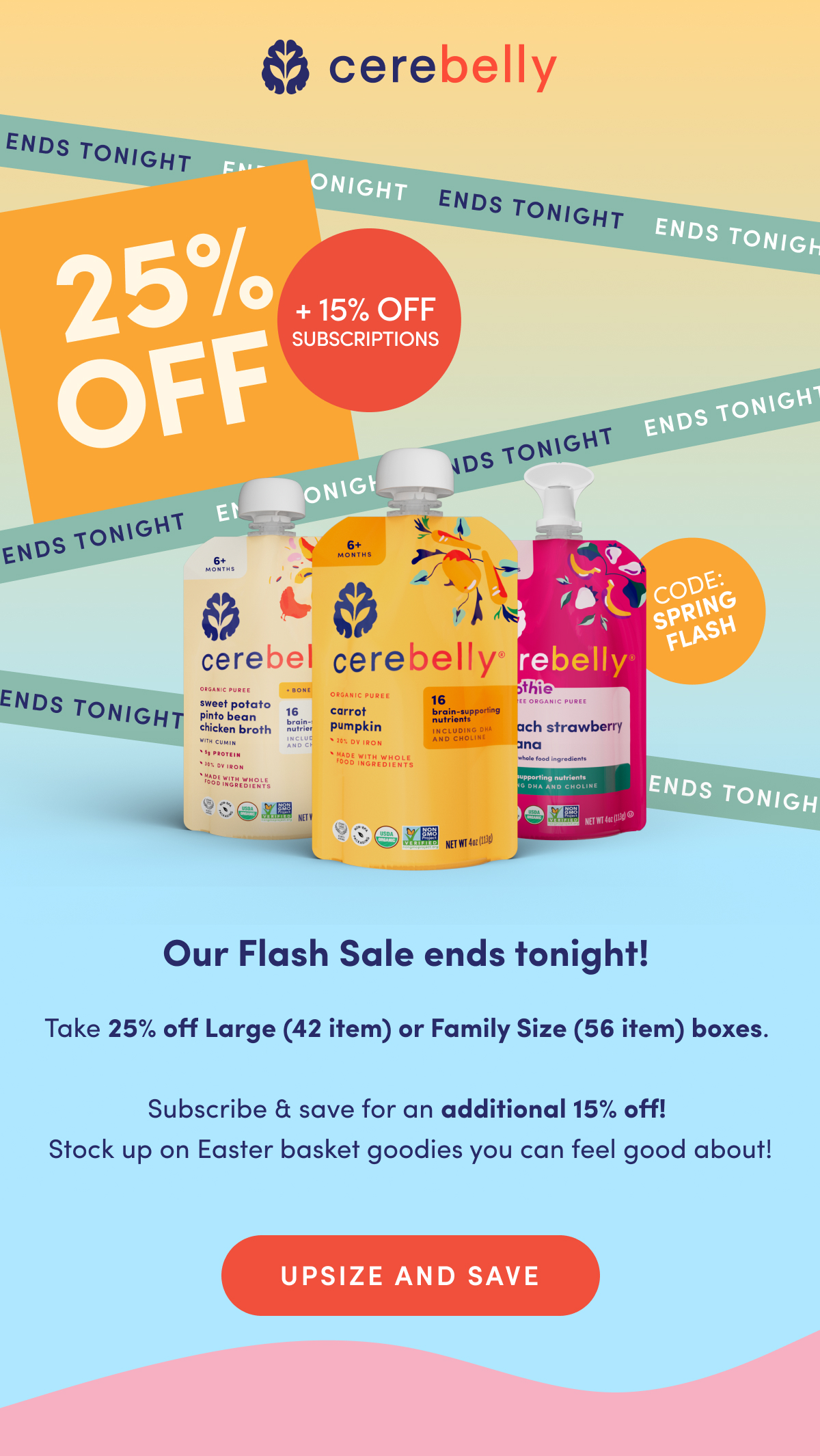 LAST CHANCE! Spring Flash Sale | Save 25% Off