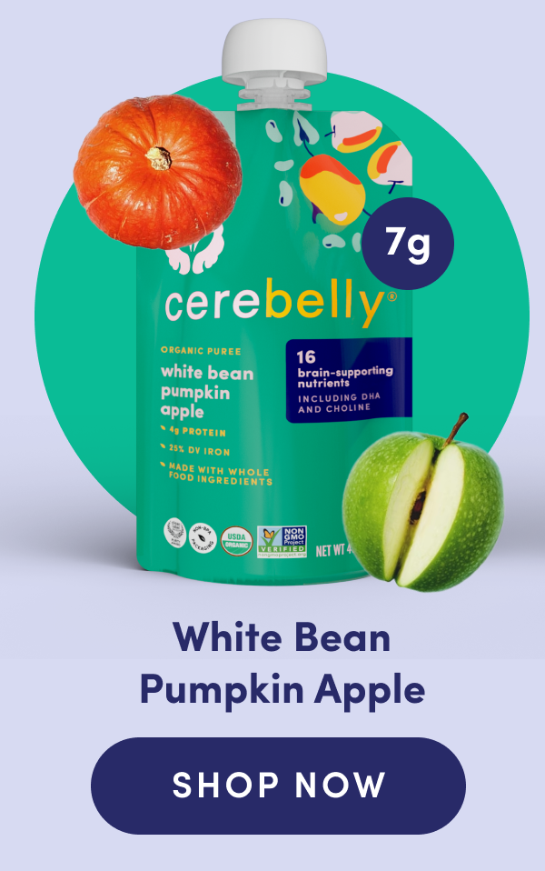 White Bean Pumpkin Apple | SHOP NOW