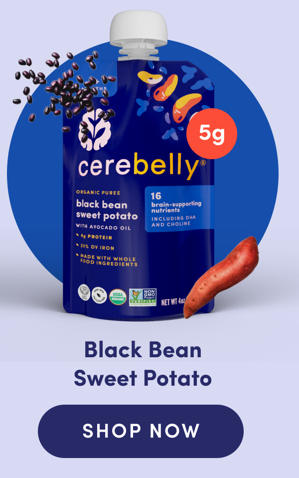 Black Bean Sweet Potato | SHOP NOW
