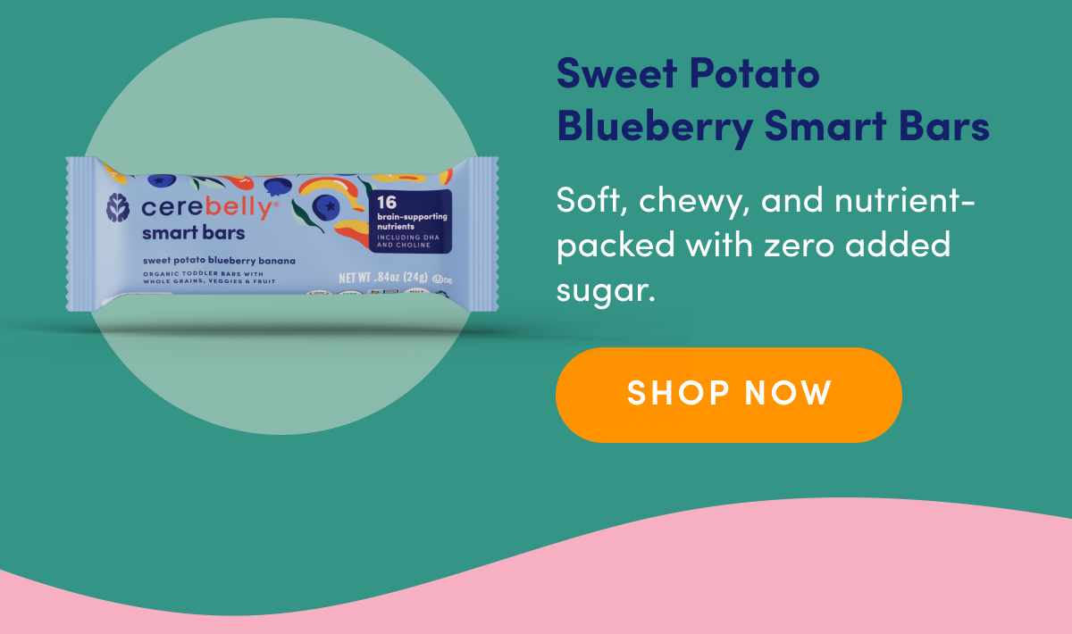 Cerebelly Sweet Potato Blueberry Smart Bars | SHOP NOW