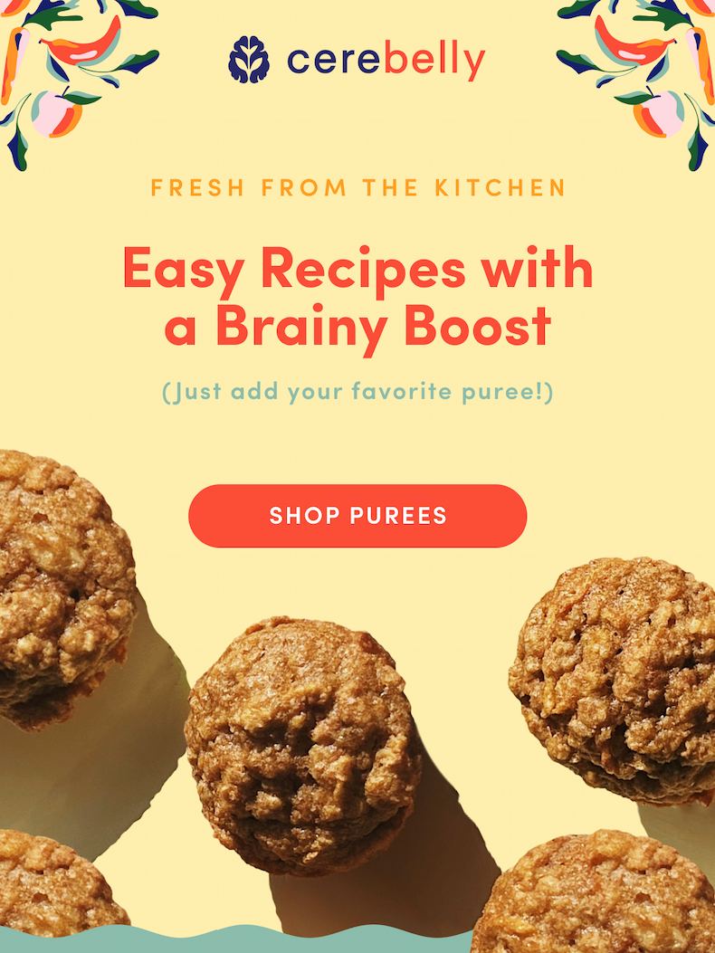 Fresh from the Kitchen | SHOP PUREES