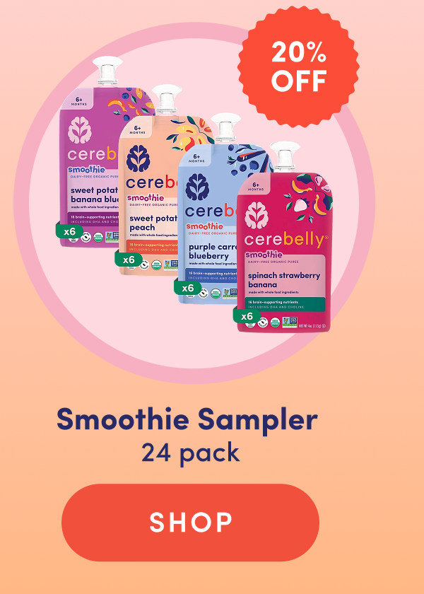 SAVE 20% | Smoothie Sampler 24 pk